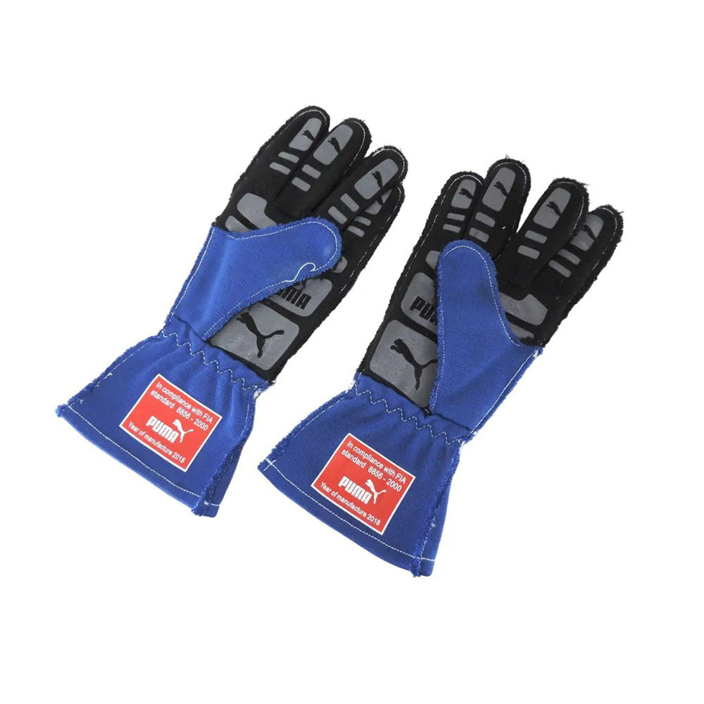 Valtteri Bottas 2018 F1 Racing Gloves